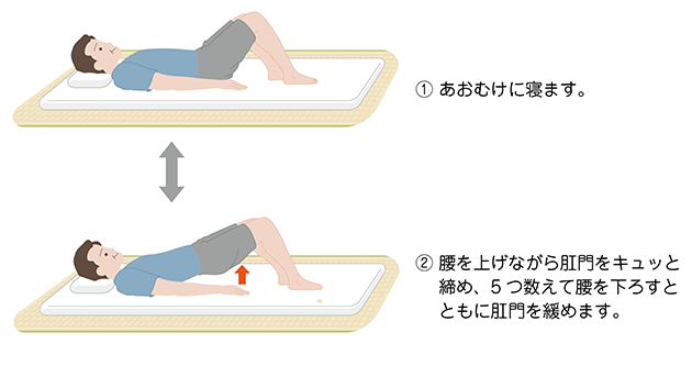 図５　骨盤底筋体操（あおむけ）　あおむけに寝ます。腰を上げながら肛門をキュッと締め、5つ数えて腰を下ろすとともに肛門を緩めます。の図