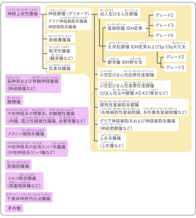図４　原発性脳腫瘍の分類の図