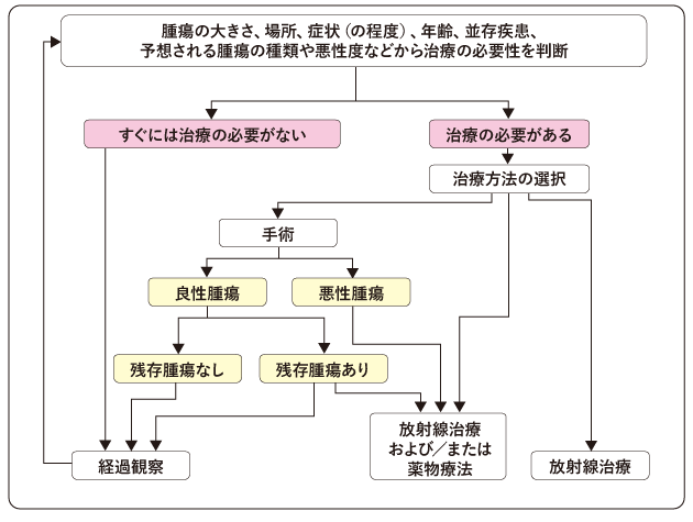 図６　脳腫瘍の治療の選択の図