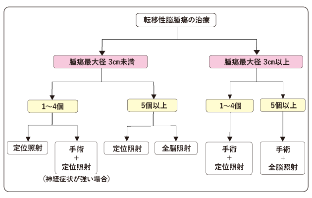 図７　転移性脳腫瘍の治療の図