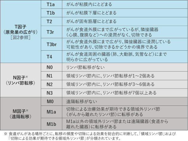 表１　食道がんのT・N・M各因子の分類（日本食道学会による分類）の表