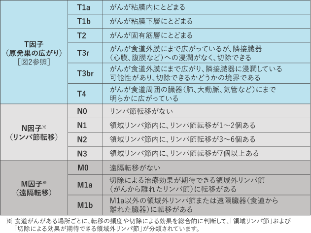 食道がん 治療 国立がん研究センター がん情報サービス 一般の方へ