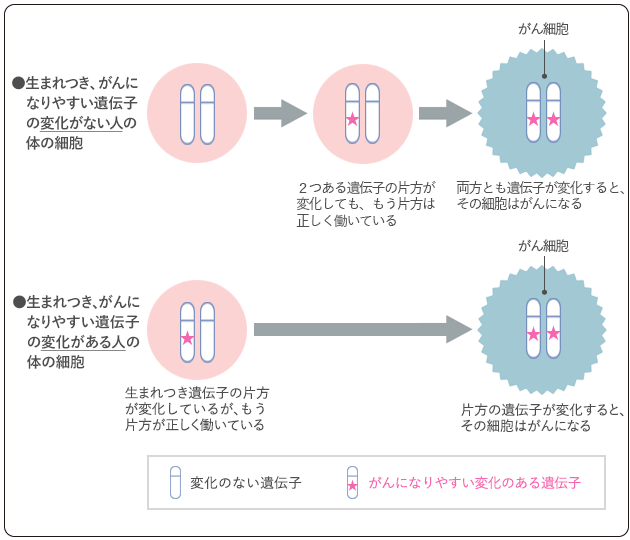 図１　がんの発症と遺伝子の変化（がん抑制遺伝子の場合）の図