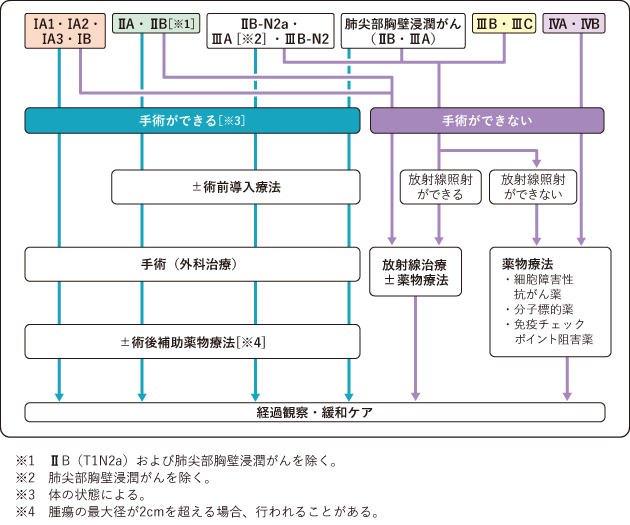 非小細胞肺がんの化学療法はどのように行われますか?