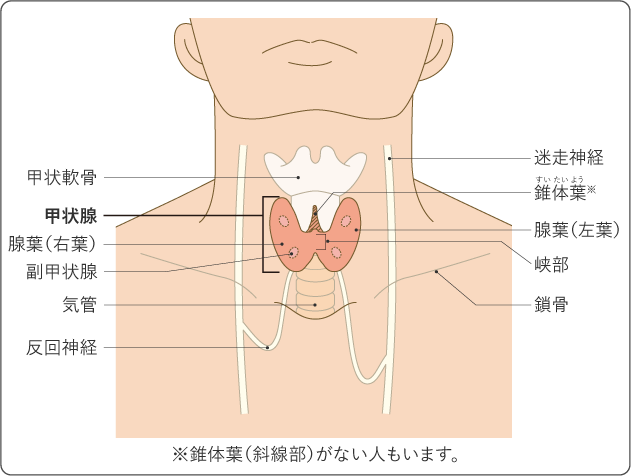 しゅのんさま 確認用