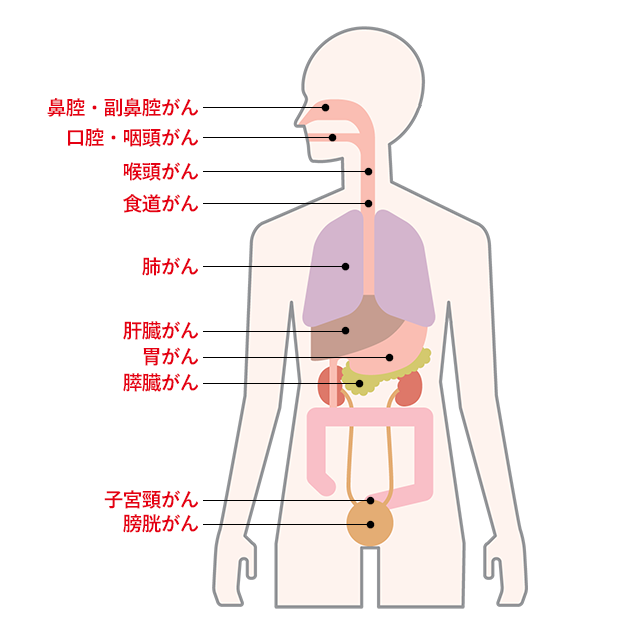 たばことがん 国立がん研究センター がん情報サービス 一般の方へ