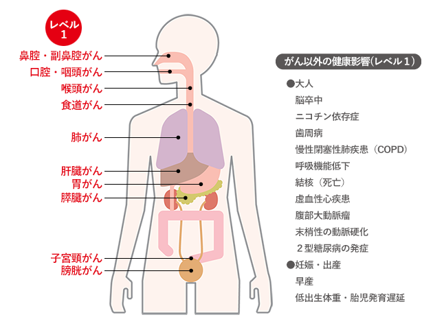 喫煙者は 肺がんリスクモデル で自分のリスクを予測し 今すぐ禁煙を 1 協会けんぽ 健康サポート