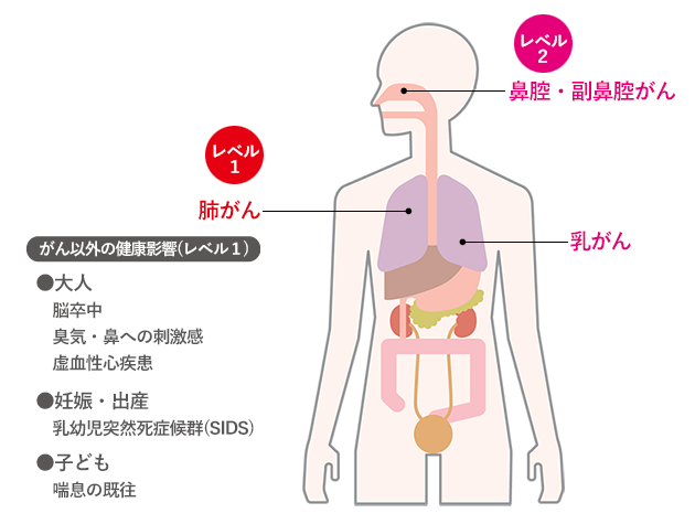 図２　喫煙している人の周りの人がなりやすいがん（レベル1・レベル2）