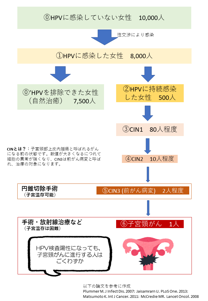 図１　HPV感染から子宮頸がんへの進行